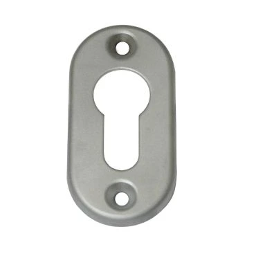 Rozet profiel cilinder opschroef 66x33mm per stuk Messing mat chroom small