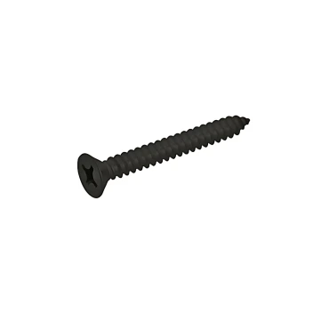 Plaatschroef 5,5x19mm DIN7981 Rvs 304 Bol kop - 100 stuks