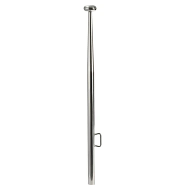 Vlaggenstok L 620mm Ø25mm Rvs 316